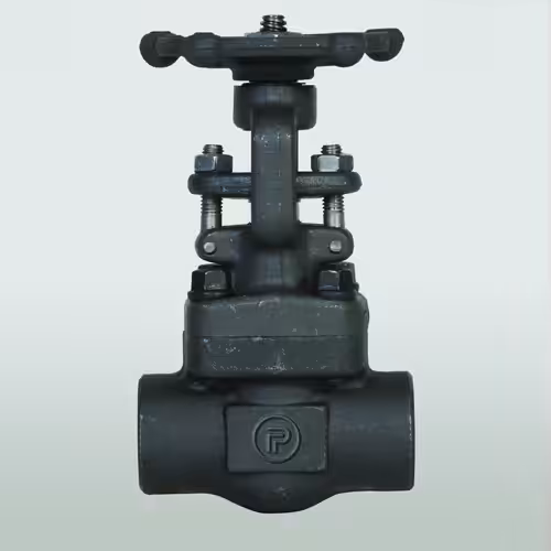 2342-front-wlogo