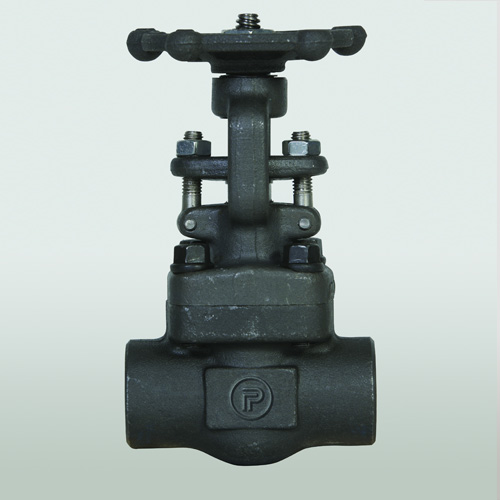 2342-front-wlogo
